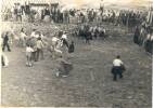 TOREJANT AL CORRO (foto de Natividad Bono)